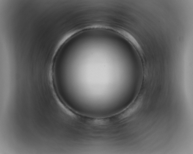 X0000113870847200909241330