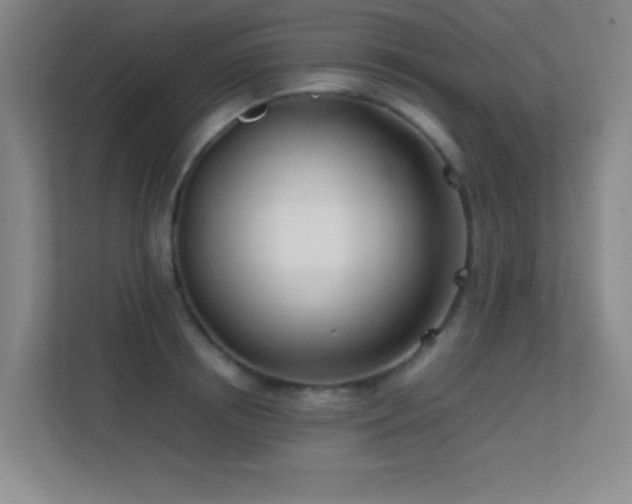 X0000113870850200909241330