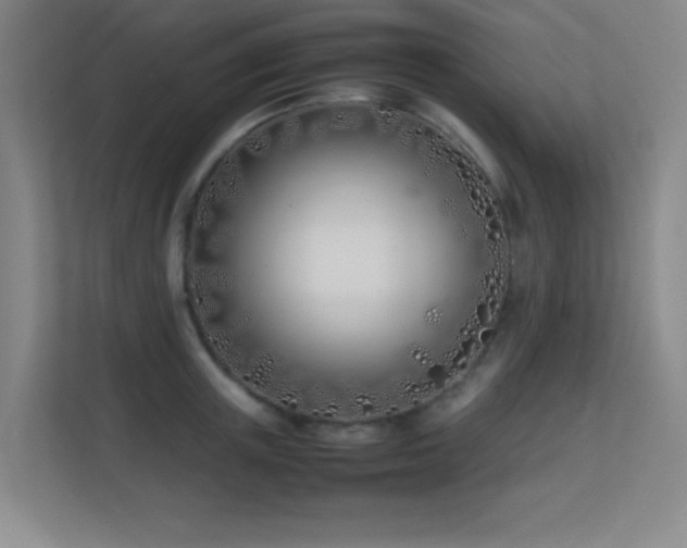 X0000113870851200909241330