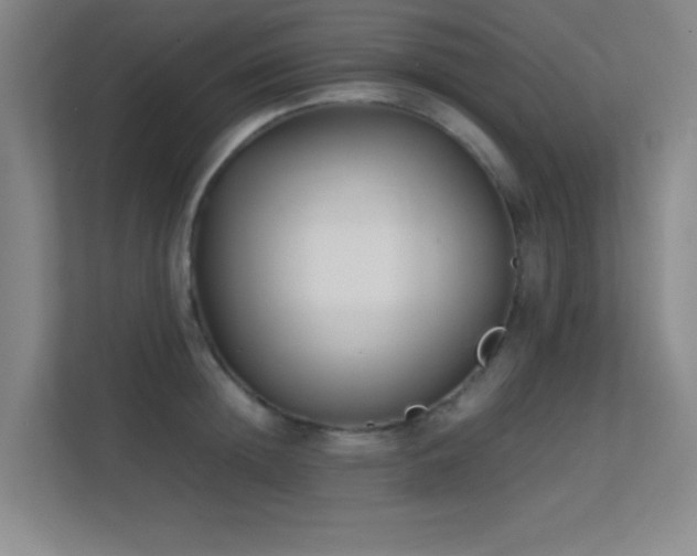 X0000113870852200909241330