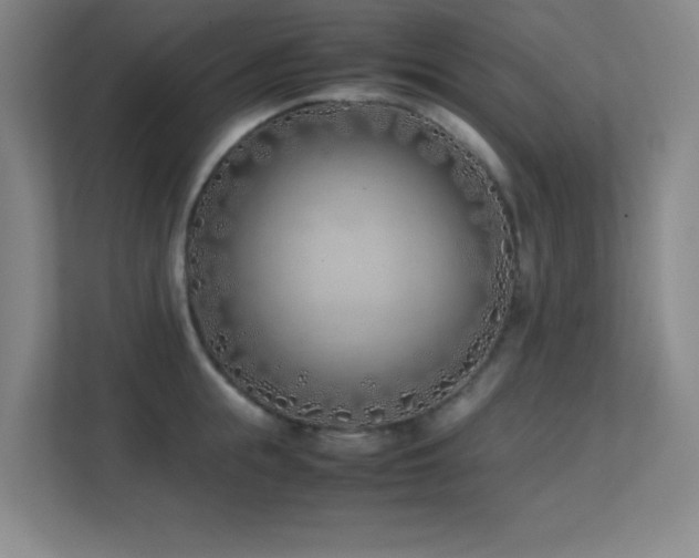 X0000113870855200909241331