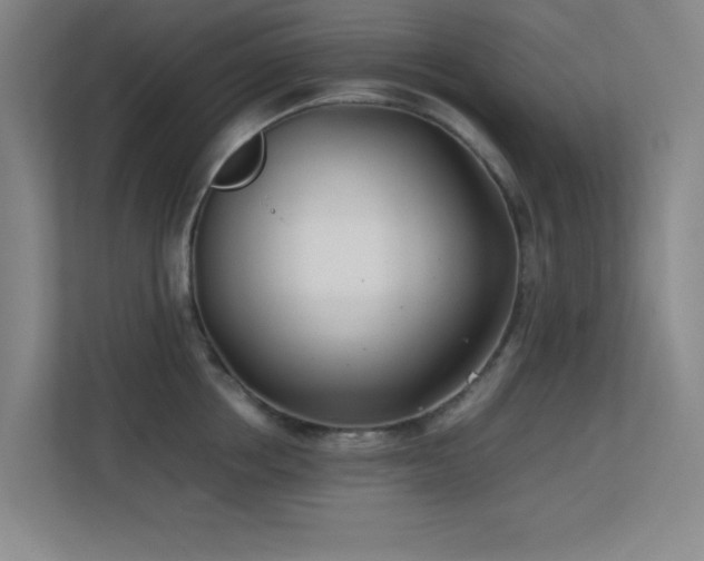 X0000113870858200909241331