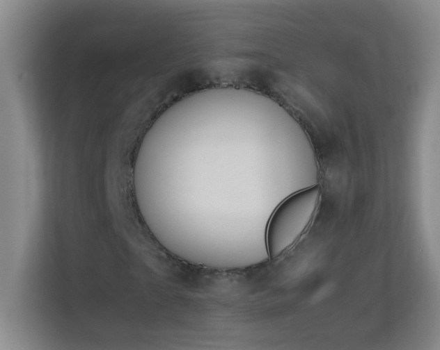 X0000113870865200909241330