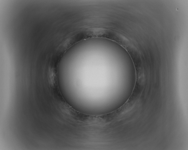 X0000113870866200909241330
