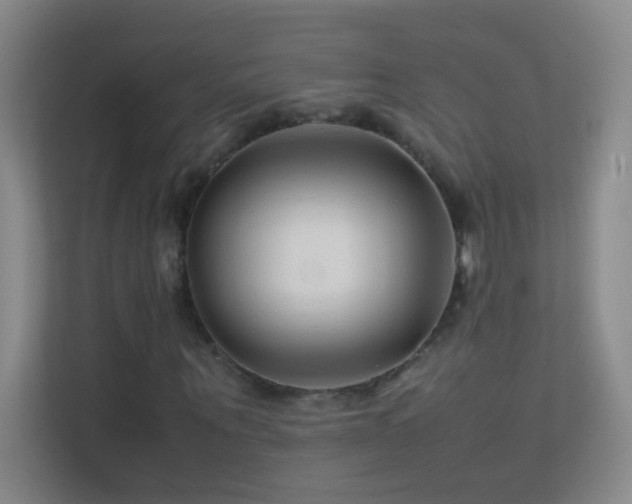 X0000113870867200909241330