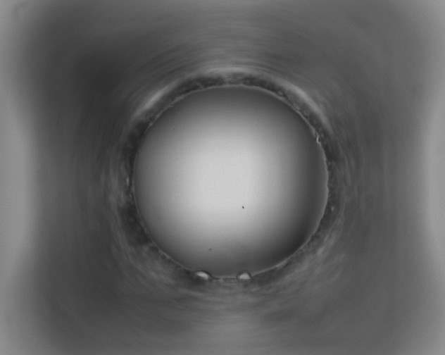 X0000113870871200909241330