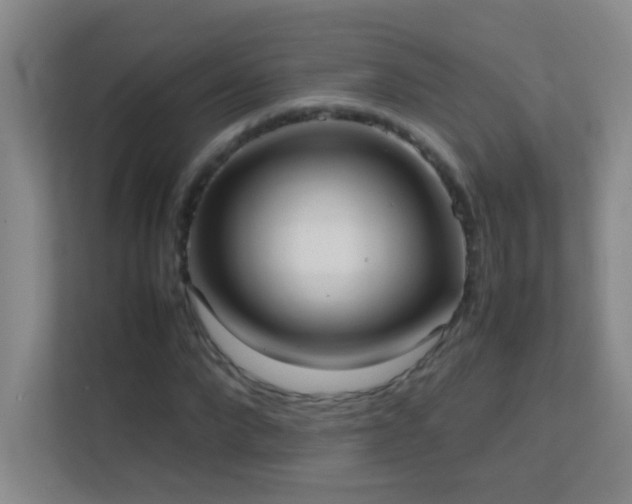 X0000113870872200909241330