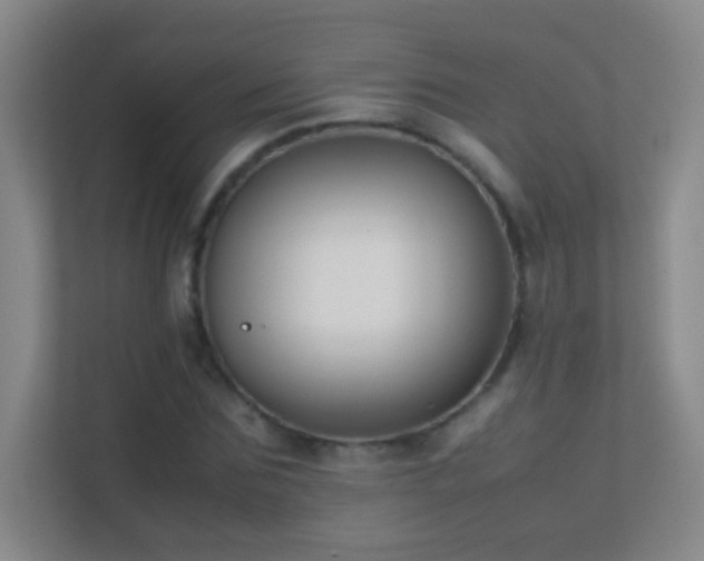 X0000113870875200909241330