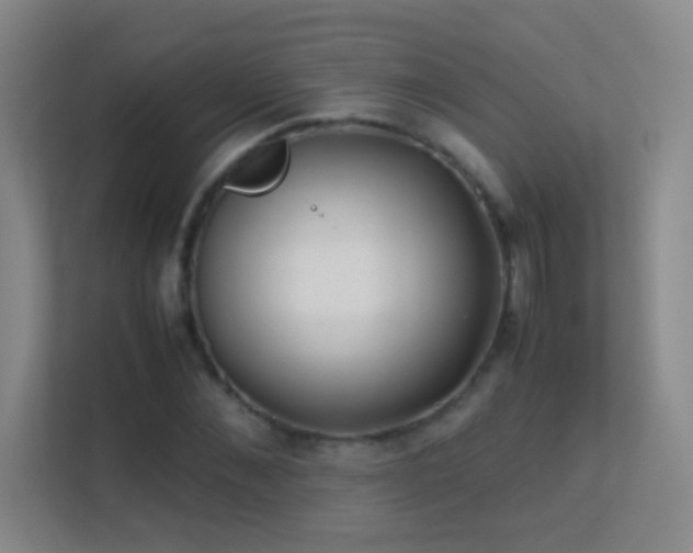 X0000113870876200909241330
