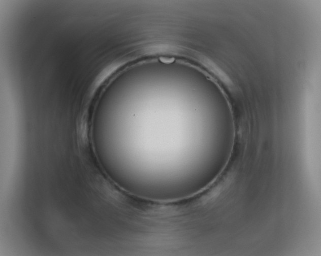 X0000113870877200909241330