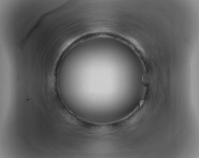 X0000113870879200909241330