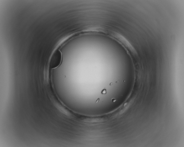 X0000113870884200909241330