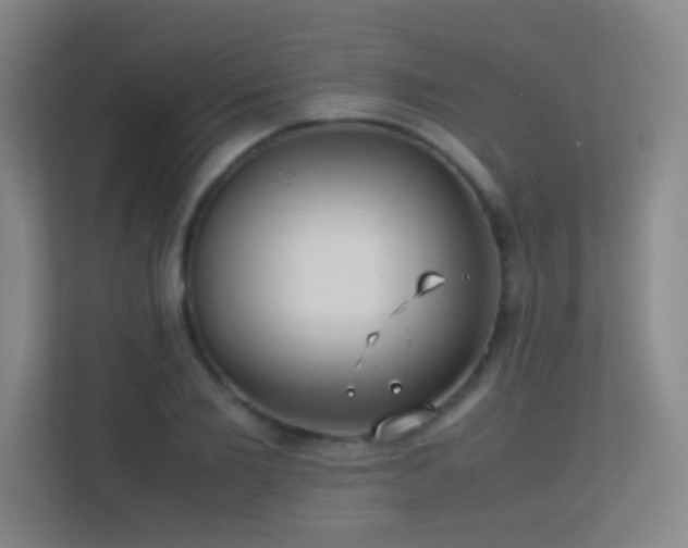 X0000113870885200909241330
