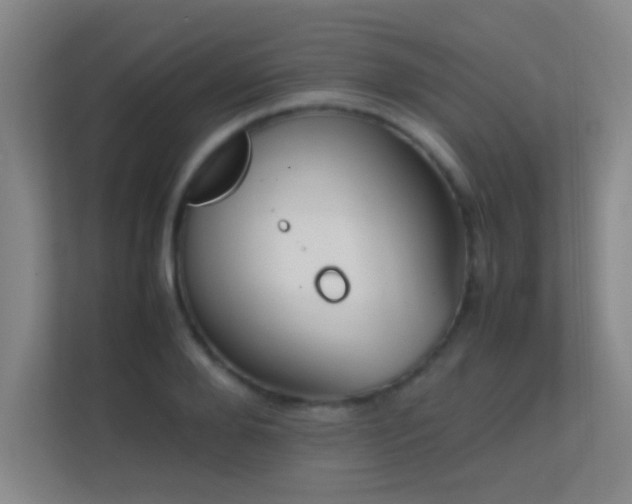 X0000113870888200909241330