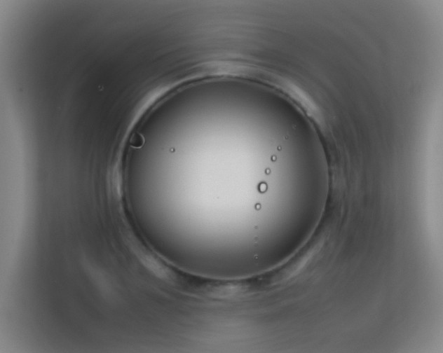 X0000113870891200909241330
