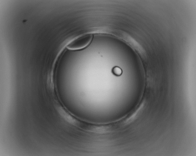 X0000113870892200909241330