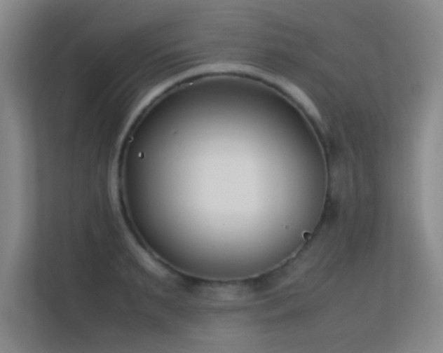 X0000113870895200909241330
