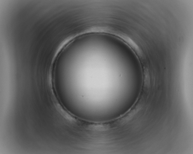 X0000113870896200909241330