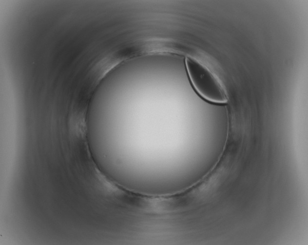 X0000113870897200909241330
