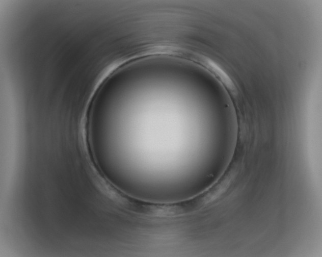 X0000113870899200909241330