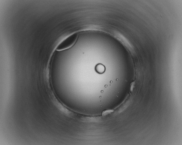 X0000113870900200909241330