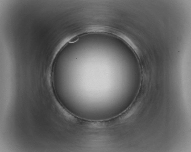 X0000113870901200909241330