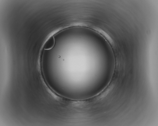 X0000113870902200909241330