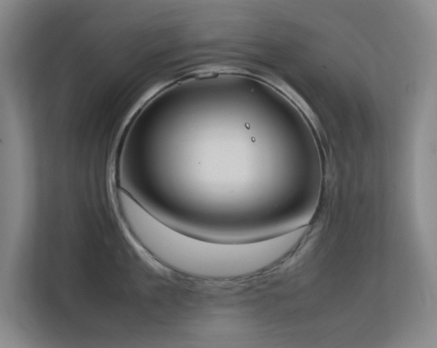 X0000113870909200909241329