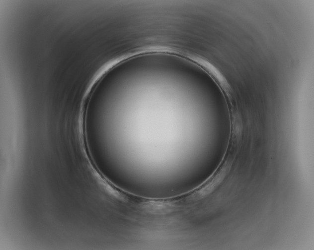 X0000113870910200909241329