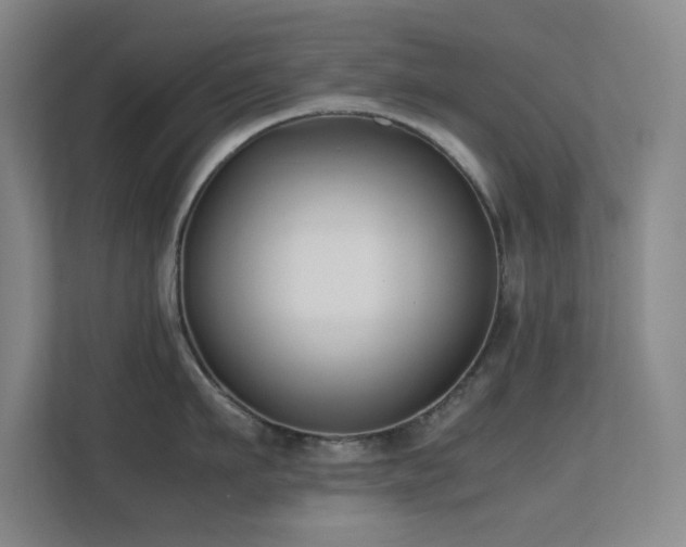X0000113870911200909241329