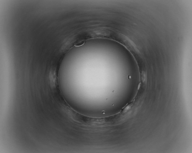 X0000113870915200909241329
