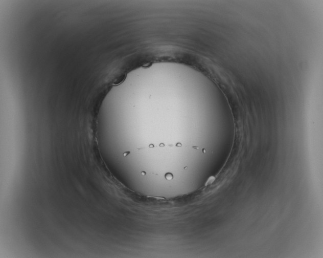 X0000113870916200909241329