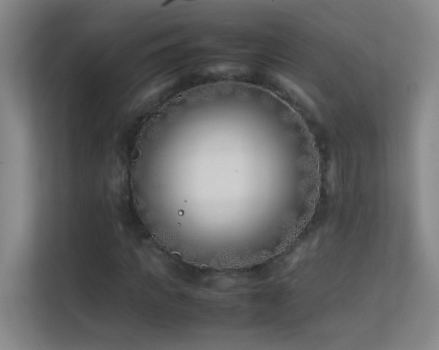 X0000113870917200909241329