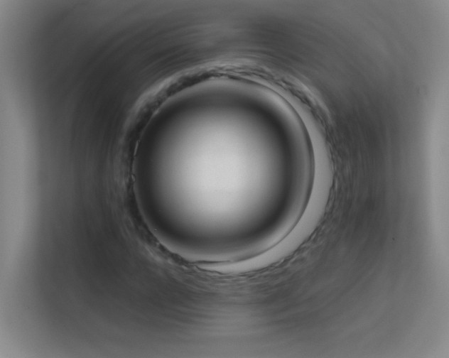 X0000113870920200909241329
