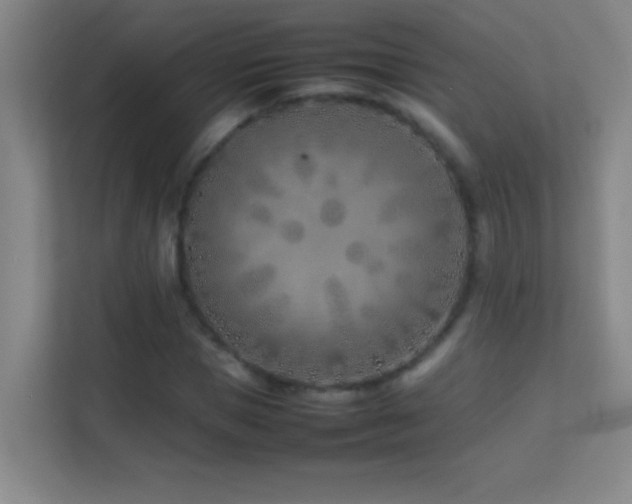 X0000113870921200909241329