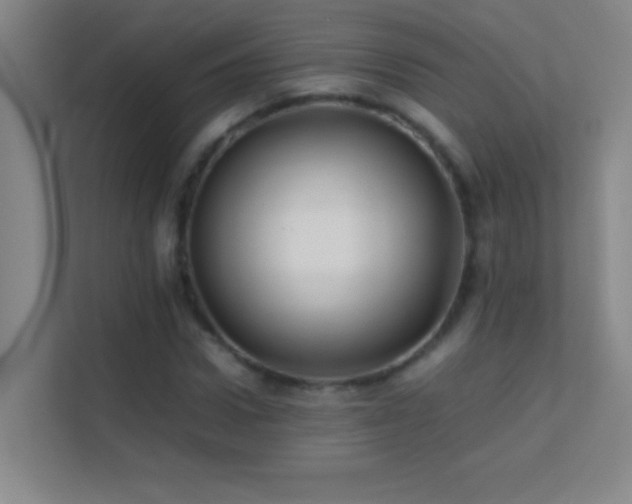 X0000113870922200909241329