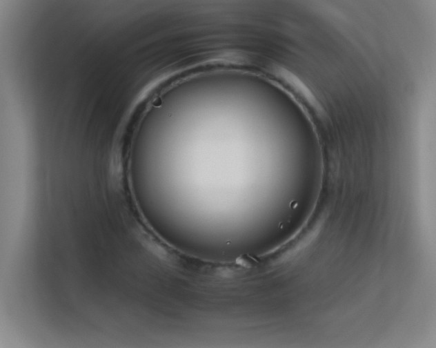 X0000113870923200909241329
