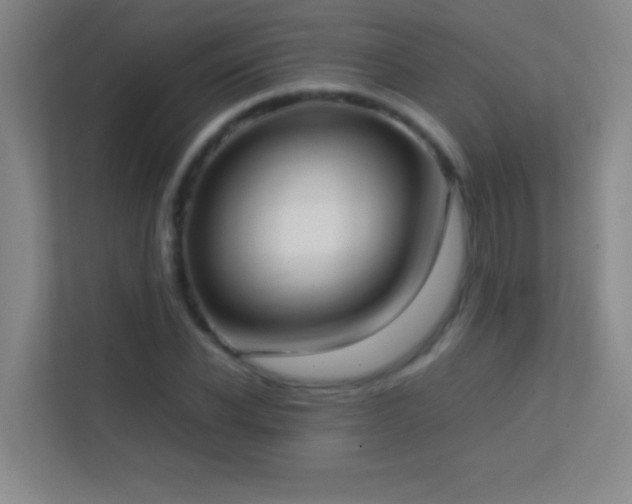 X0000113870926200909241329