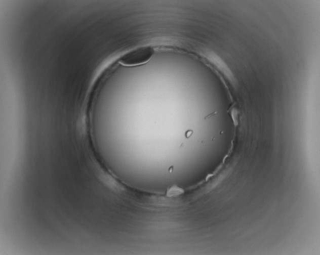 X0000113870928200909241329