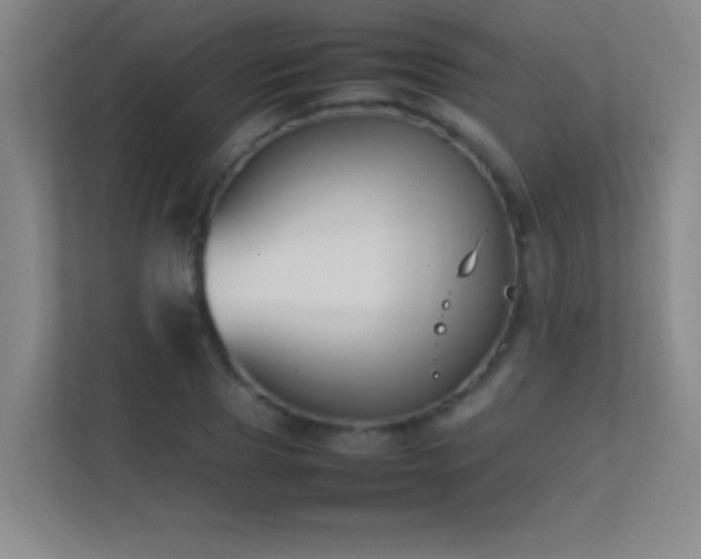 X0000113870929200909241329