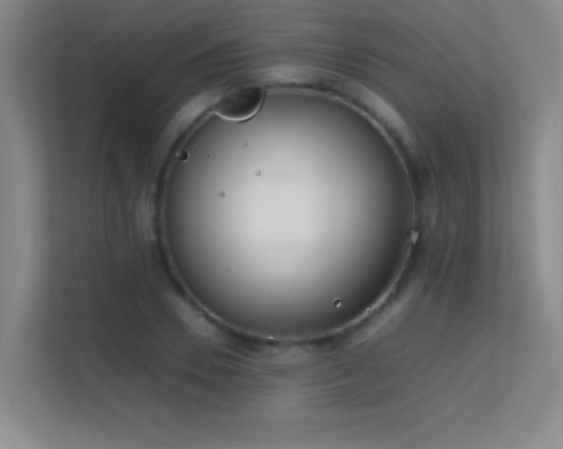 X0000113870930200909241329