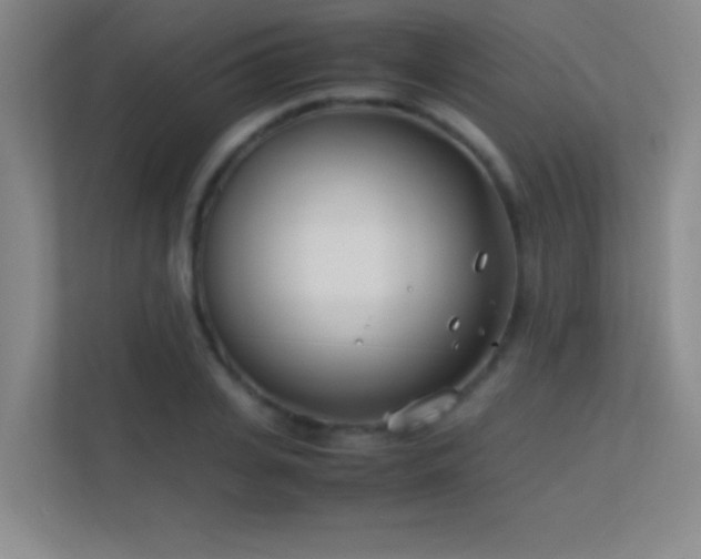 X0000113870935200909241329