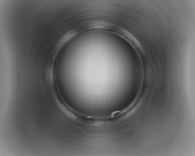 X0000113870938200909241329