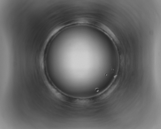 X0000113870939200909241329