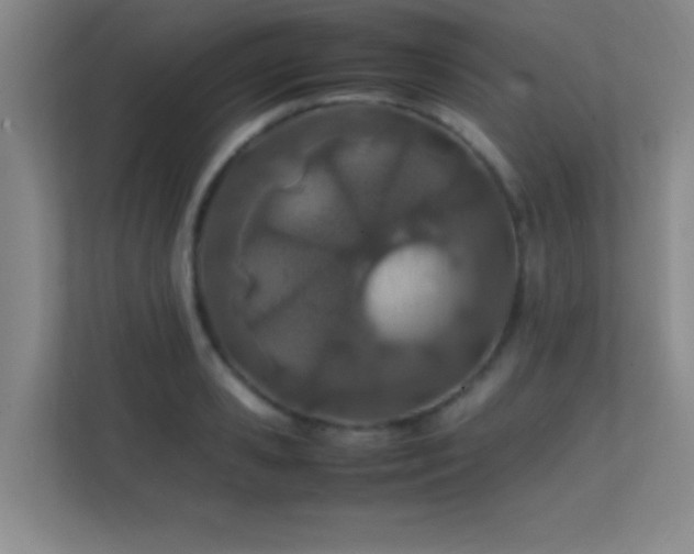 X0000113870941200909241329