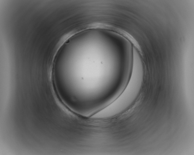 X0000113870946200909241329