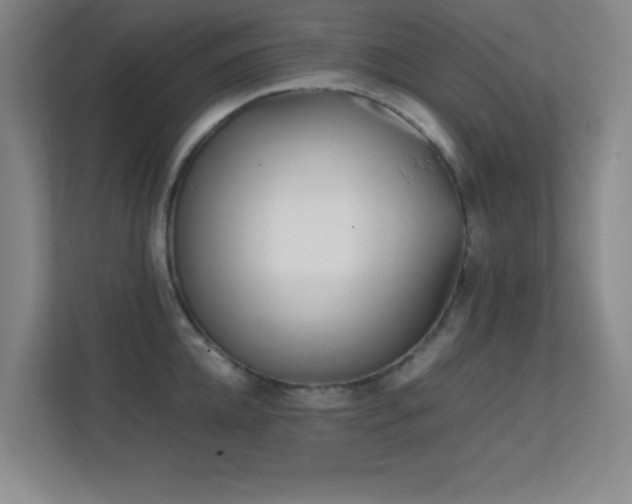 X0000113870952200909241329