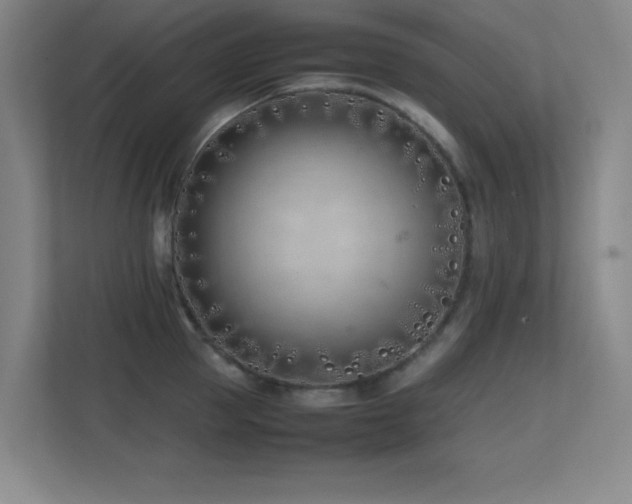 X0000113870953200909241329