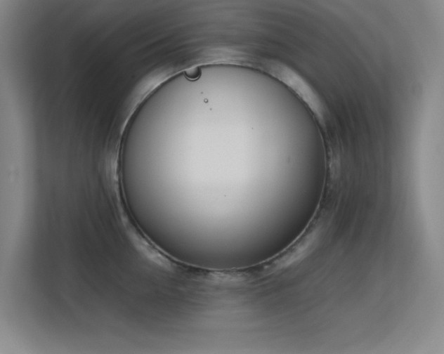 X0000113870954200909241329