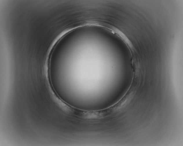 X0000113870955200909241329